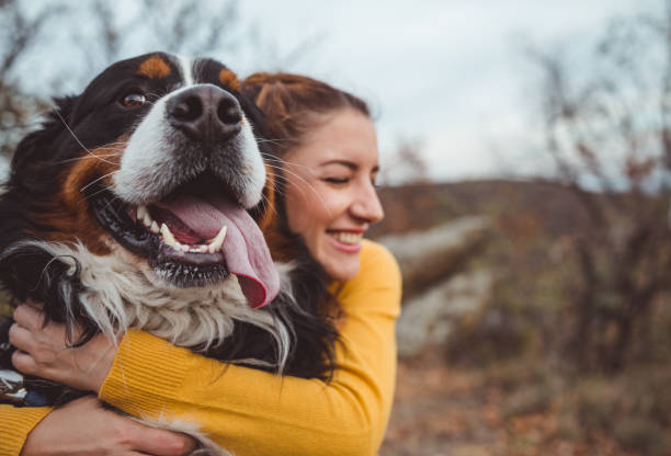 How Online Vet Care is Transforming Pet Health