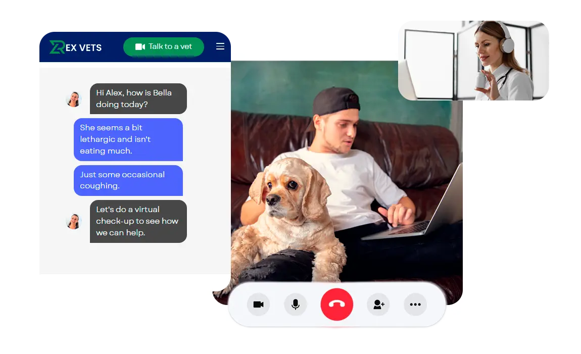 Video consultation