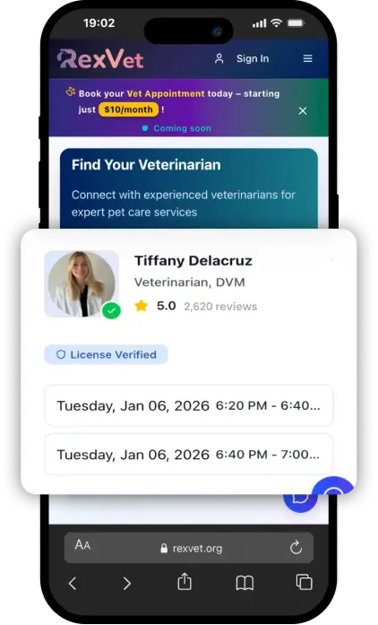 Find the Right Vet - Browse verified vet profiles, read authentic reviews, and choose the perfect match for your pet's unique needs and personality.